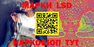 шишки Кимры