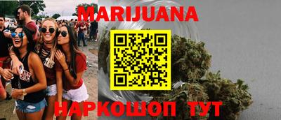 шишки Кимры