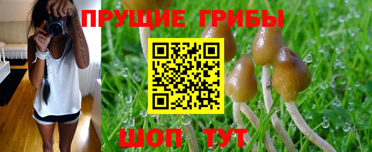 Галлюциногенные грибы Cubensis Краснокаменск